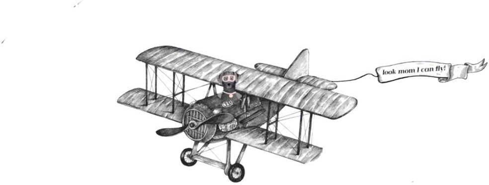 A dog in goggles flying a biplane with a banner that reads look mom I can fly