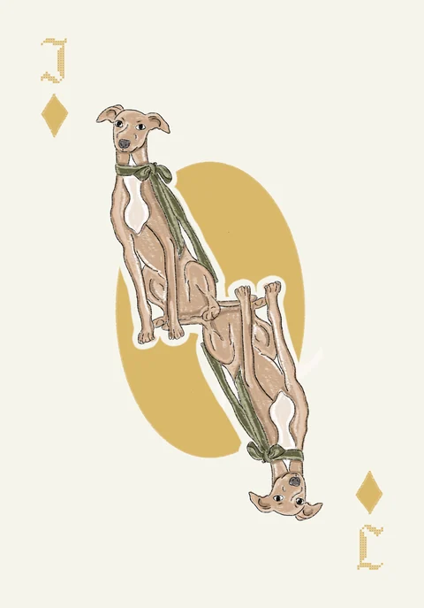 Jack of diamonds: the dog, with a green bow, from a deck drawn for an Italian wedding